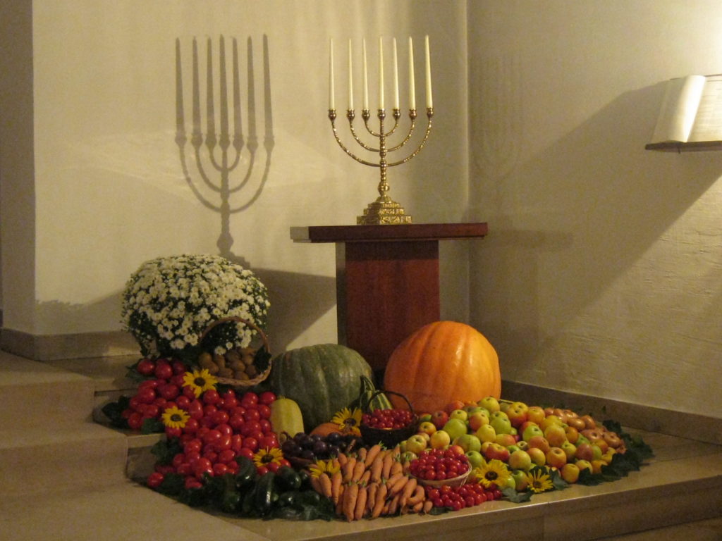 추수 감사 경축 추수 감사 경축