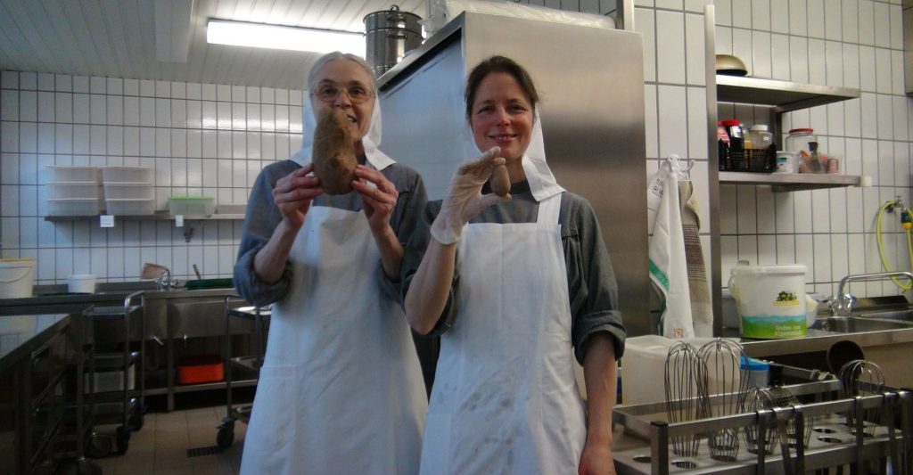 오늘 메뉴는 감자로 오늘 메뉴는 감자로